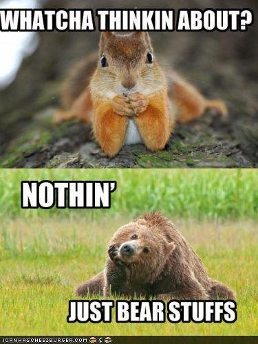 thinking-lol-squirrel-and-bear.jpg.b0a4b615ac633a3eff51d720eb14d81f.jpg