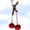 twignberries