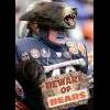 ChicagoBear